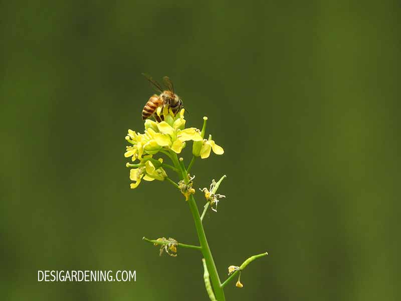 good potting soil