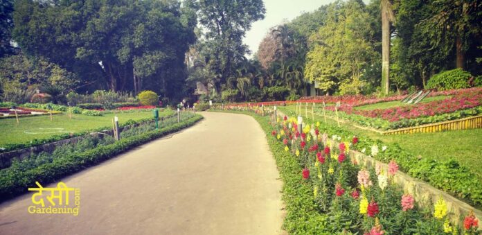 Flower Garden in Kolkata