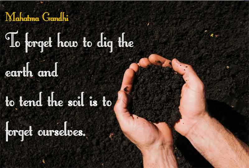 Beautiful Garden Quotes