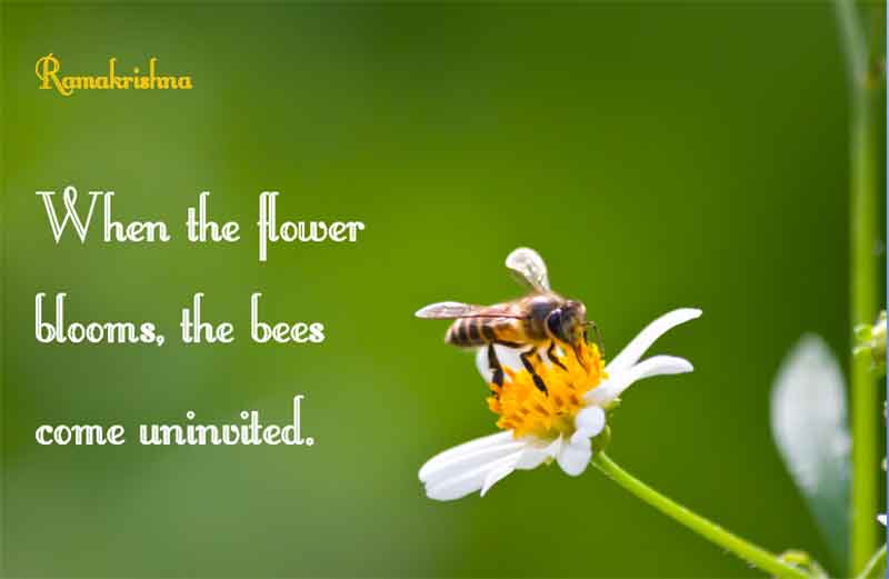 Beautiful Garden Quotes