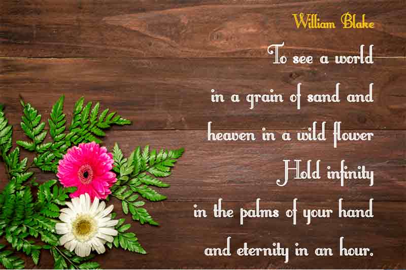 Beautiful Garden Quotes