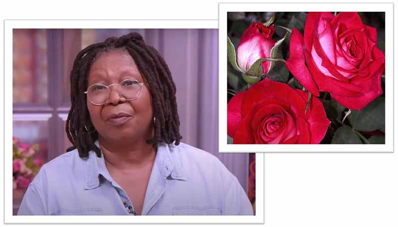 Flowers Named after Celebrities and Famous People Whoopi Goldberg