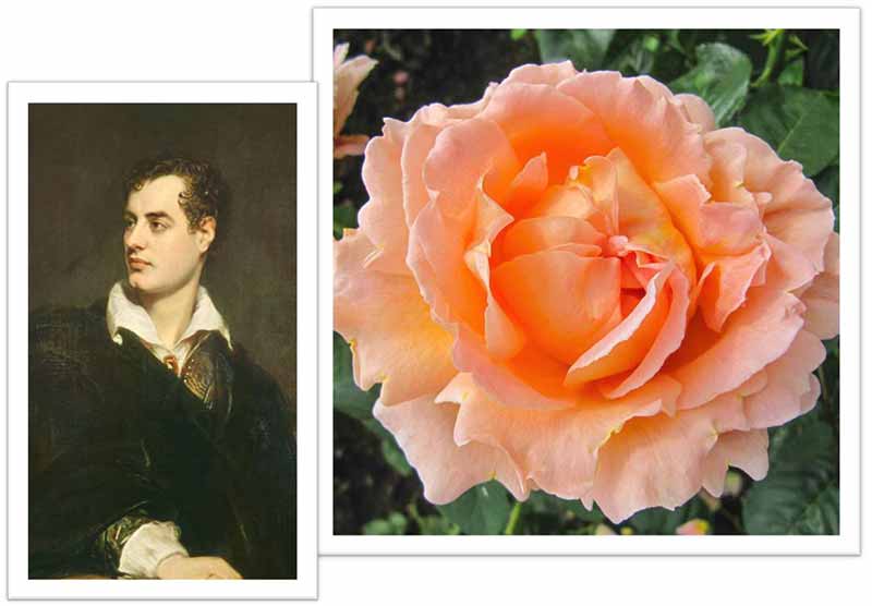Flowers Named after Celebrities and Famous People Lord Byron