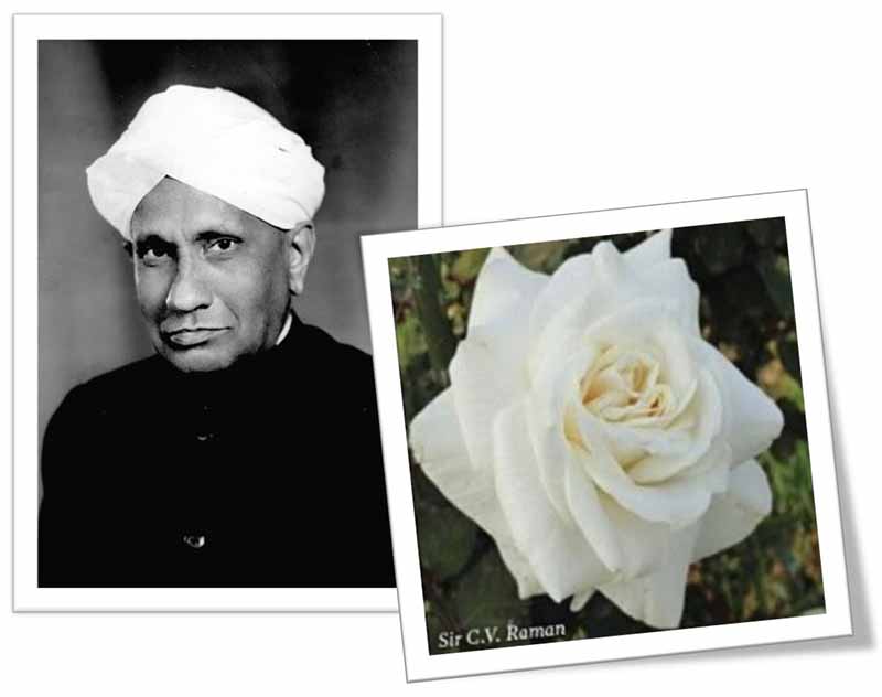 Plants and flowers named after famous Indians as a tribute