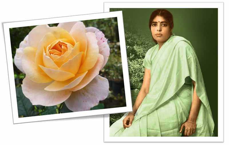 Plants and flowers named after famous Indians as a tribute