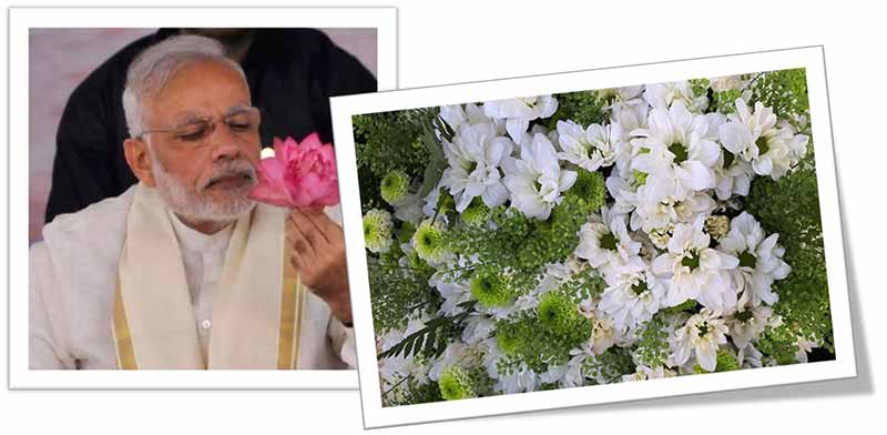 Plants and flowers named after famous Indians as a tribute