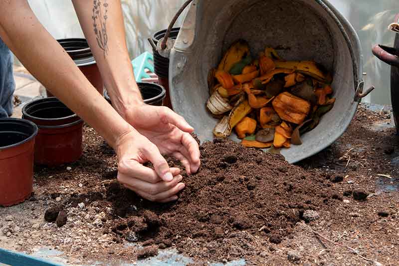Compost, its Types and how we use it in the garden
