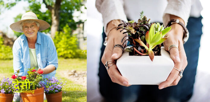 Gardening for Senior gardeners and Older People