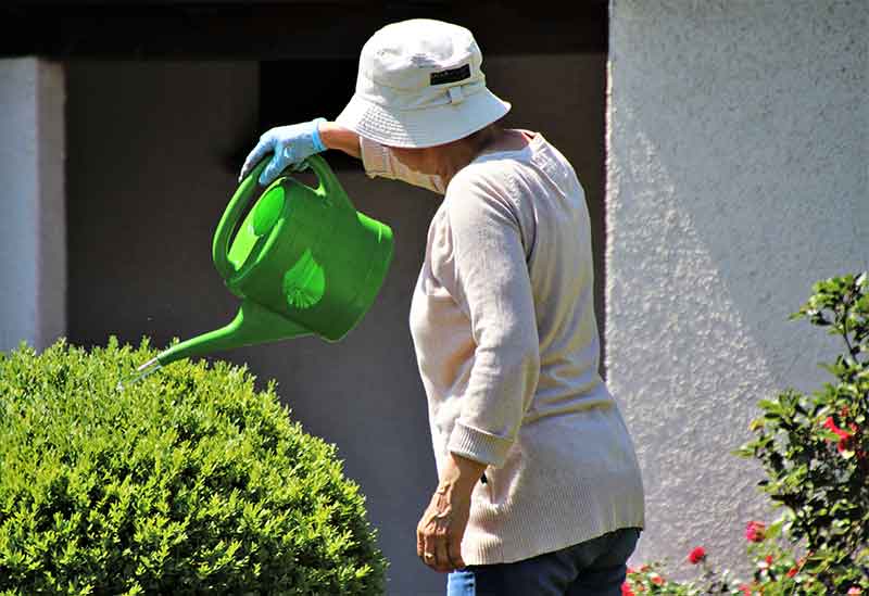 Health care for senior gardeners and older people