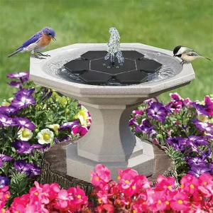 The Beginner's Complete Guide for Garden Water Fountains